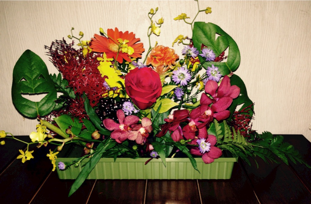 f:id:kinsankinsan:20151013215707j:image f:id:kinsankinsan:20151013215707j:image