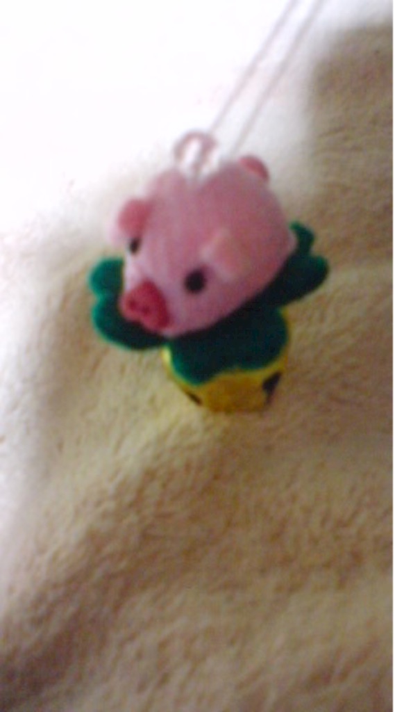 f:id:kinsankinsan:20151128021438j:image f:id:kinsankinsan:20151128021438j:image