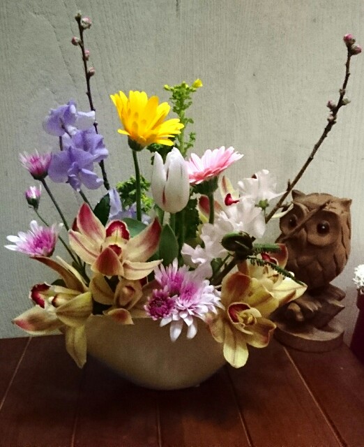 f:id:kinsankinsan:20160213205726j:image f:id:kinsankinsan:20160213205726j:image