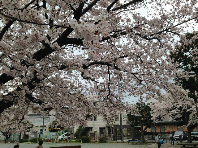 f:id:kinsankinsan:20160404223056j:image f:id:kinsankinsan:20160404223056j:image