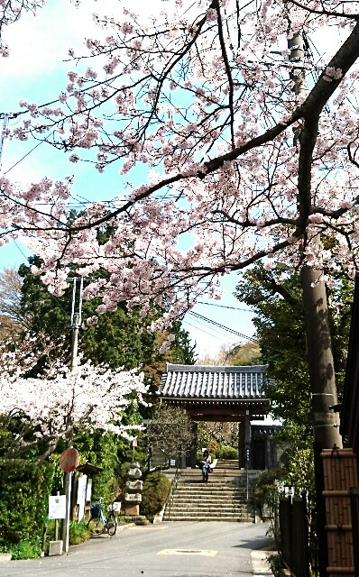 f:id:kinsankinsan:20160407234633j:image f:id:kinsankinsan:20160407234633j:image