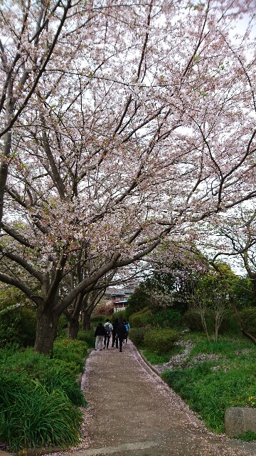 f:id:kinsankinsan:20160409234324j:image f:id:kinsankinsan:20160409234324j:image