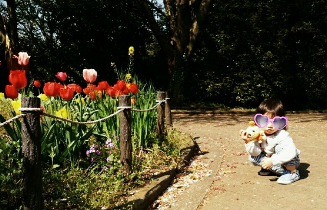 f:id:kinsankinsan:20160424222343j:image f:id:kinsankinsan:20160424222343j:image