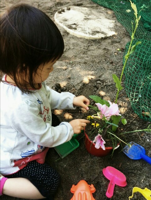 f:id:kinsankinsan:20160430211244j:image f:id:kinsankinsan:20160430211244j:image