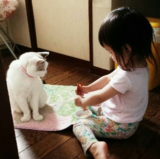 f:id:kinsankinsan:20160512201606j:image f:id:kinsankinsan:20160512201606j:image