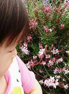 f:id:kinsankinsan:20160608233550j:image f:id:kinsankinsan:20160608233550j:image