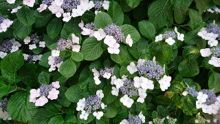 f:id:kinsankinsan:20160616013642j:image f:id:kinsankinsan:20160616013642j:image