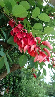 f:id:kinsankinsan:20160628020137j:image f:id:kinsankinsan:20160628020137j:image