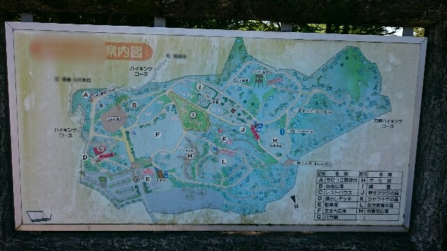 f:id:kirataku:20160506125020j:image f:id:kirataku:20160506125020j:image