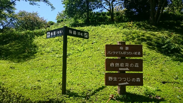 f:id:kirataku:20160506230756j:image f:id:kirataku:20160506230756j:image
