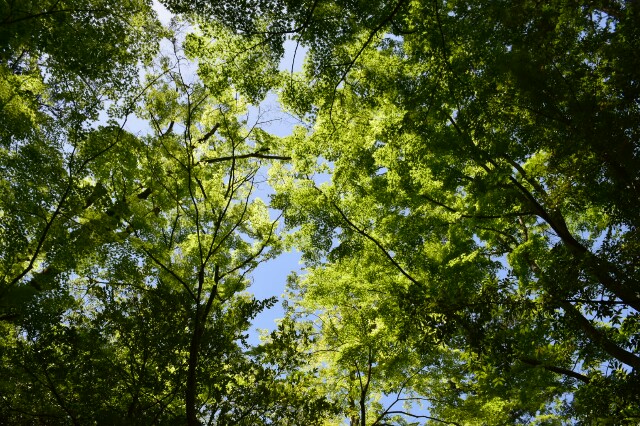 f:id:kirataku:20160507234551j:image f:id:kirataku:20160507234551j:image