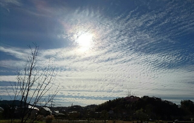 f:id:kisaragikyo:20151224154746j:image f:id:kisaragikyo:20151224154746j:image