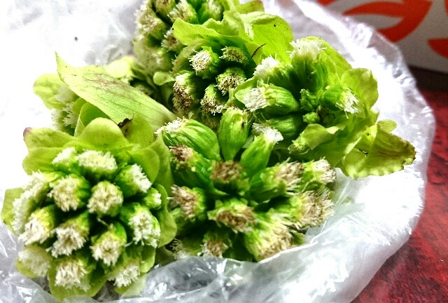 f:id:kisaragikyo:20160322172355j:image f:id:kisaragikyo:20160322172355j:image