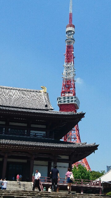 f:id:kisaragikyo:20160712112709j:image f:id:kisaragikyo:20160712112709j:image