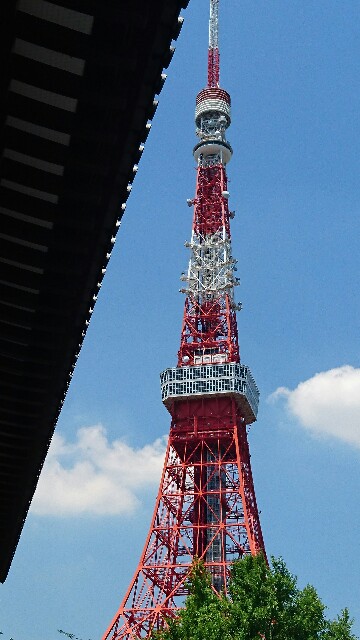 f:id:kisaragikyo:20160712113335j:image f:id:kisaragikyo:20160712113335j:image