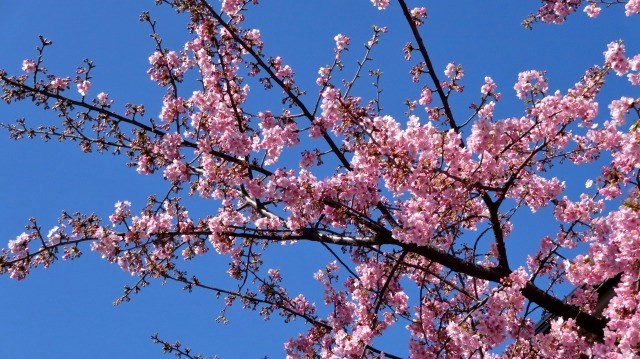 f:id:kisasa:20140307163504j:image f:id:kisasa:20140307163504j:image