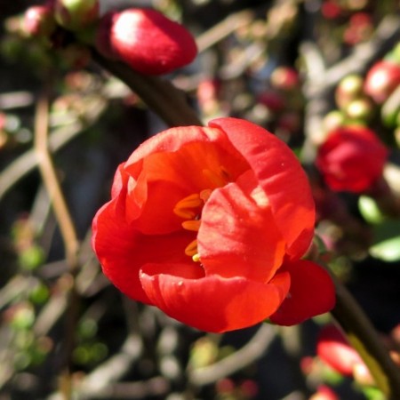 f:id:kisasa:20140307163718j:image f:id:kisasa:20140307163718j:image