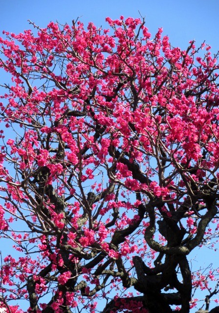 f:id:kisasa:20140307163750j:image f:id:kisasa:20140307163750j:image