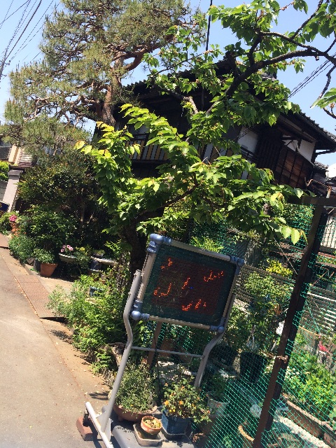 f:id:kisfavorite:20150505230603j:image f:id:kisfavorite:20150505230603j:image