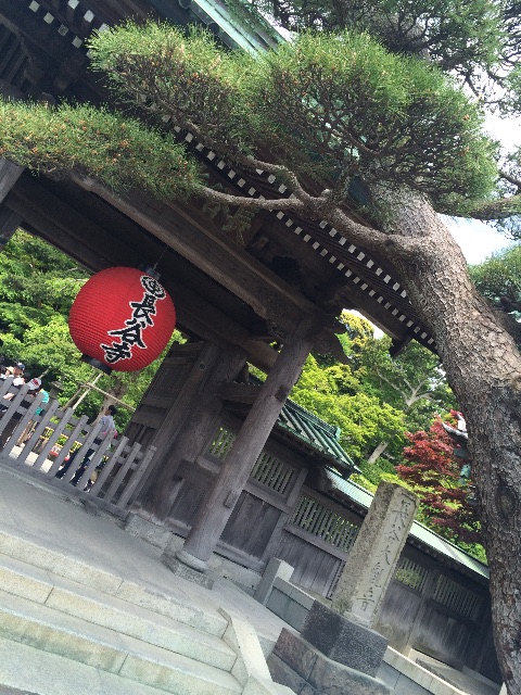 f:id:kisfavorite:20150506224006j:image f:id:kisfavorite:20150506224006j:image