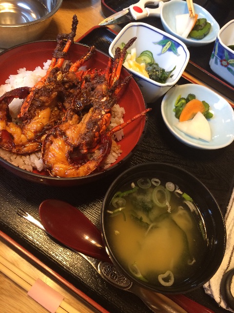 f:id:kisfavorite:20150506224823j:image f:id:kisfavorite:20150506224823j:image