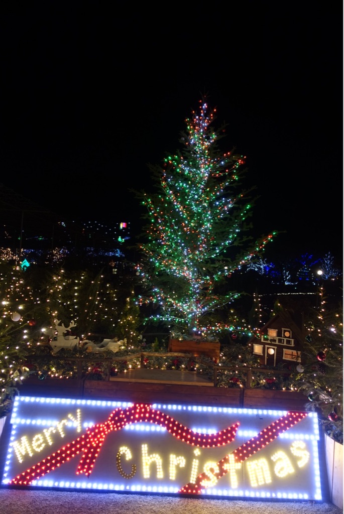 f:id:kisfavorite:20151223224748j:image f:id:kisfavorite:20151223224748j:image