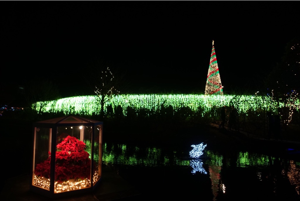 f:id:kisfavorite:20151223225058j:image f:id:kisfavorite:20151223225058j:image