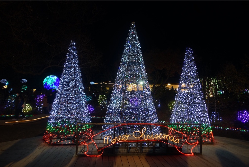 f:id:kisfavorite:20151223225246j:image f:id:kisfavorite:20151223225246j:image