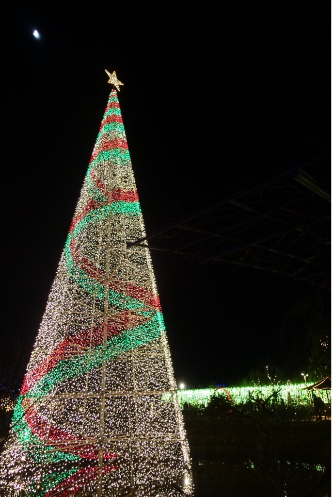 f:id:kisfavorite:20151223225333j:image f:id:kisfavorite:20151223225333j:image