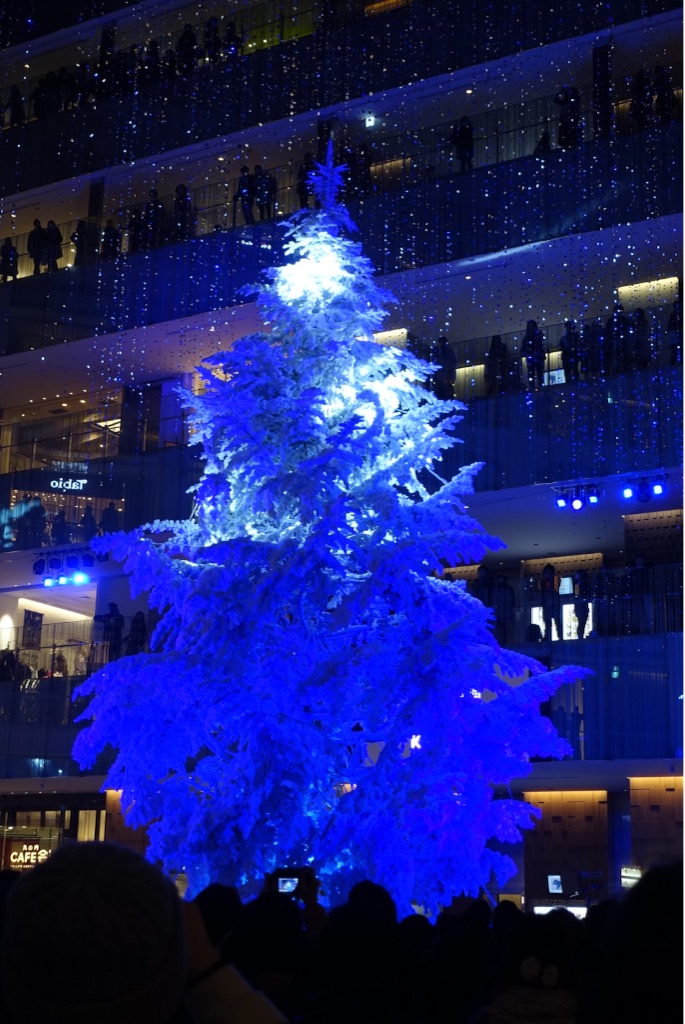 f:id:kisfavorite:20151227064834j:image f:id:kisfavorite:20151227064834j:image