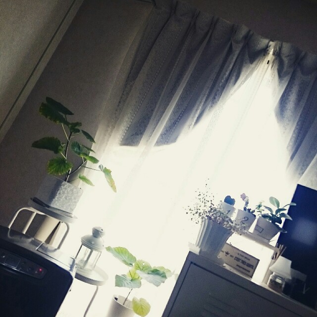 f:id:kissyou22:20150422211416j:image f:id:kissyou22:20150422211416j:image