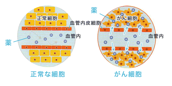 f:id:kisuke_blog:20151220134710p:plain f:id:kisuke_blog:20151220134710p:plain