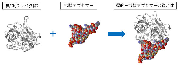 f:id:kisuke_blog:20151222234937p:plain f:id:kisuke_blog:20151222234937p:plain