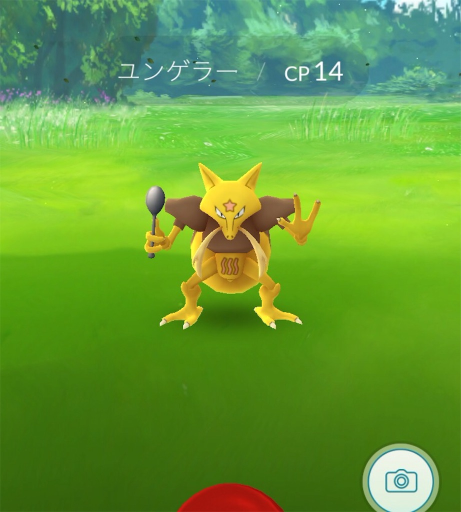 f:id:kisuke_zx:20160728002242j:image f:id:kisuke_zx:20160728002242j:image