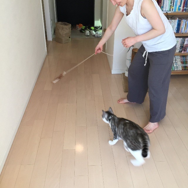 f:id:kita_yoo:20150507164218j:image f:id:kita_yoo:20150507164218j:image