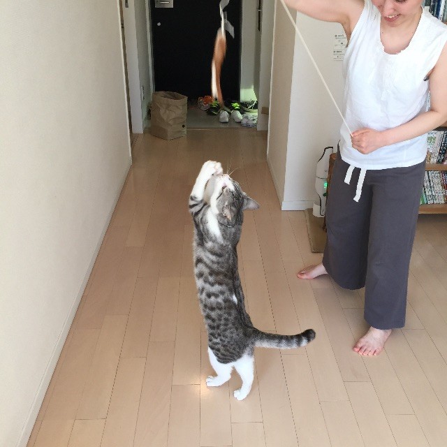 f:id:kita_yoo:20150507164252j:image f:id:kita_yoo:20150507164252j:image
