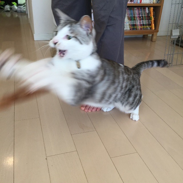 f:id:kita_yoo:20150507164315j:image f:id:kita_yoo:20150507164315j:image