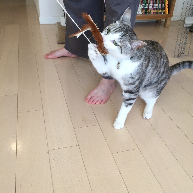 f:id:kita_yoo:20150507164329j:image f:id:kita_yoo:20150507164329j:image