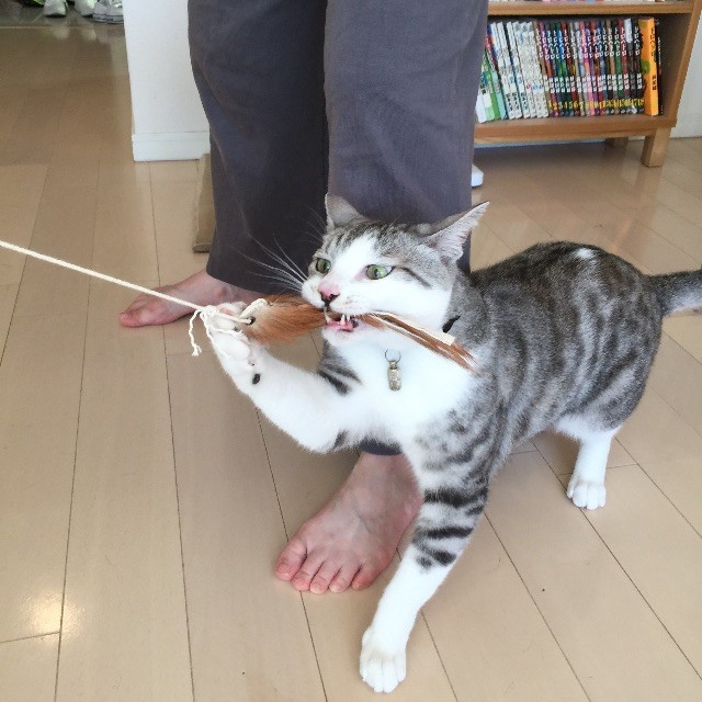 f:id:kita_yoo:20150507164434j:image f:id:kita_yoo:20150507164434j:image