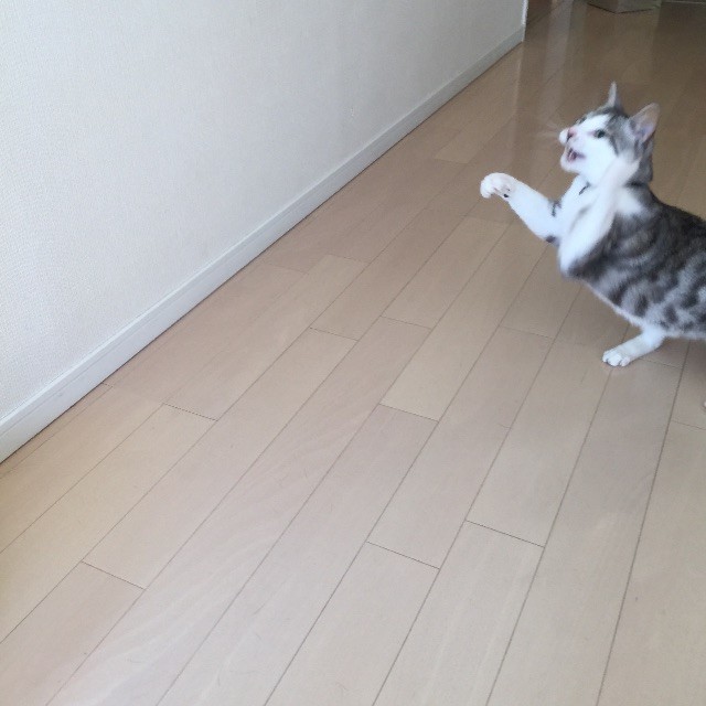 f:id:kita_yoo:20150507164543j:image f:id:kita_yoo:20150507164543j:image