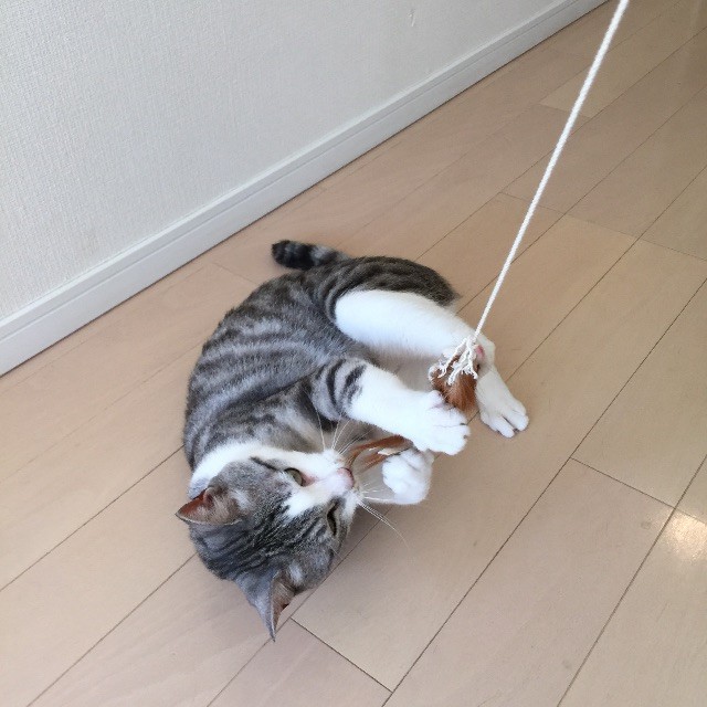 f:id:kita_yoo:20150507164745j:image f:id:kita_yoo:20150507164745j:image