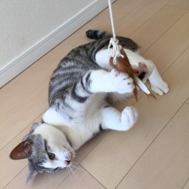 f:id:kita_yoo:20150507164804j:image f:id:kita_yoo:20150507164804j:image