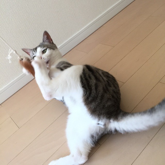 f:id:kita_yoo:20150507164833j:image f:id:kita_yoo:20150507164833j:image