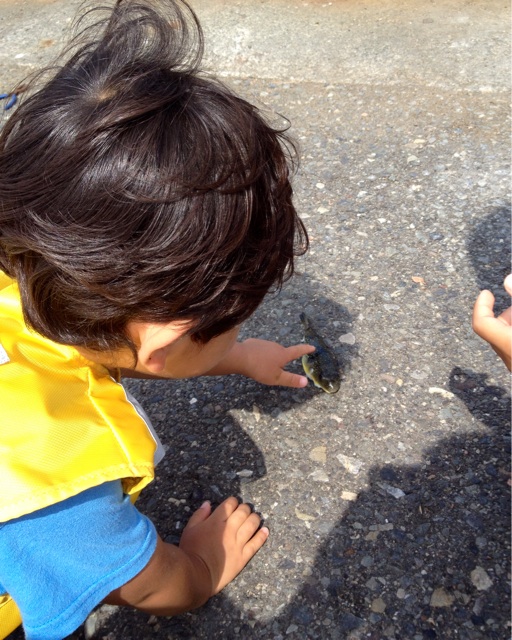f:id:kitagawaanimals:20140626195611j:plain f:id:kitagawaanimals:20140626195611j:plain