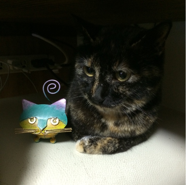 f:id:kitagawaanimals:20140904165214j:plain f:id:kitagawaanimals:20140904165214j:plain