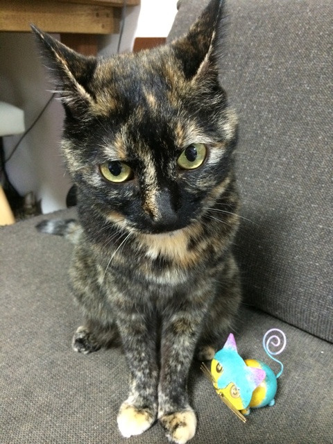 f:id:kitagawaanimals:20140904170108j:plain f:id:kitagawaanimals:20140904170108j:plain