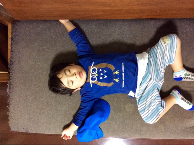 f:id:kitagawaanimals:20141103230829j:plain f:id:kitagawaanimals:20141103230829j:plain