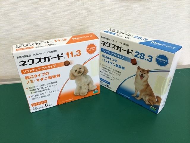 f:id:kitagawaanimals:20141105110249j:plain f:id:kitagawaanimals:20141105110249j:plain