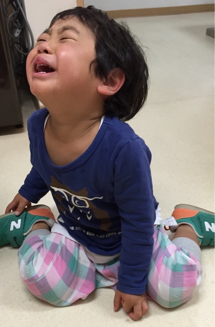 f:id:kitagawaanimals:20141112093415j:plain f:id:kitagawaanimals:20141112093415j:plain