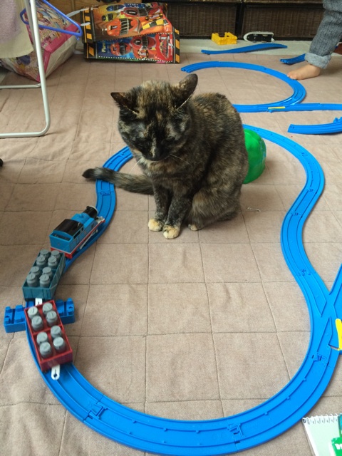f:id:kitagawaanimals:20150105092249j:plain f:id:kitagawaanimals:20150105092249j:plain